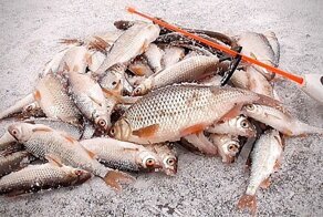 Зимняя рыбалка 2020 и опасный лед! Ловля зимой на мормышку. Подводная съемка