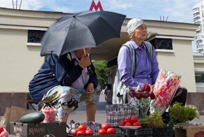 Что продают бабушки под видом овощей с огорода