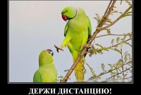 О грустной жизни с юмором. Часть 4