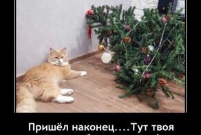 Свежие демотиваторы — лучшее начало понедельника