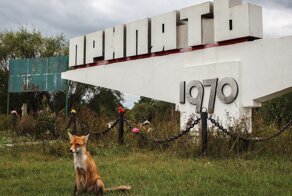 Чернобыль: путеводитель сталкера