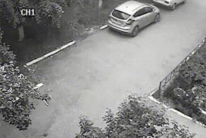 Гифки интересные