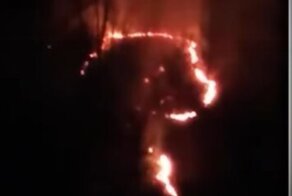 "Дурной знак": пожар, случившийся в лесу от фейерверка, вызвал у сочинцев нехорошие ассоциации