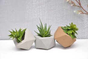 Горшок одобрил бы... Пост про горшки