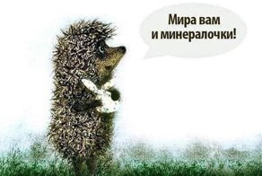 Прикольные картинки и шутки из сети