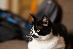 Встал — место потерял. И снова об их безразмерной наглости и нашем бесконечном терпении