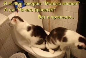 Котоматрица. Часть 2. (45 фото)