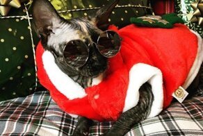 С добрым утром