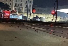 Сотни птиц погибли в Риме из-за новогодних фейерверков