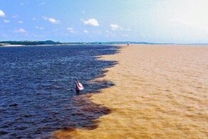 15 потрясающих кадров, когда фотографу повезло по-крупному