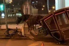В Санкт-Петербурге карета с лошадьми попала в аварию на дороге