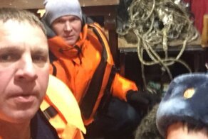 Экипаж пожарного корабля спас тонущего в реке пса