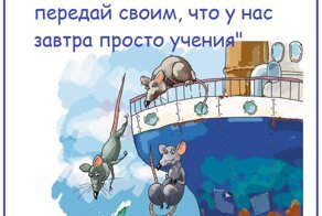 Весёлые картинки