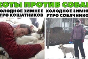 Смешные и познавательные картинки