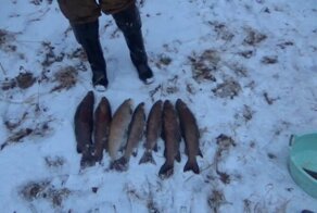 Приключения "учителя успеха" в тайге. Часть 3. Что помогало нам преодолевать всякую жесть в тайге?!