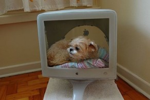 Креативные домики для животных в старых мониторах (9 Фото)