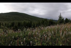 Моё первое одиночное велопутешествие по Алтаю. Часть 4 - Спуск