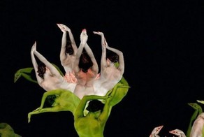 Креативное искусство – «Люди-цветы» (18 Фото)