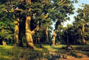 Русские художники. Шишкин Иван Иванович (1832-1898)