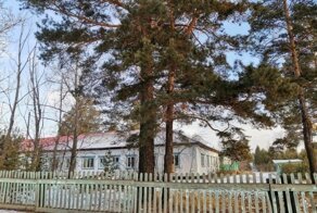 "Приходят поесть и поспать:" чиновница из Забайкалья объяснила нерентабельность больницы в селе