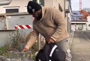 Прививка немецкого менталитета для мигранта