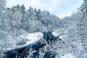Снежная сказка в Линдуловской роще