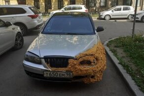 Криворукие поделки людей, которым нельзя ничего доверить