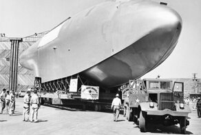 Еловый гусь, 1945-1947 гг