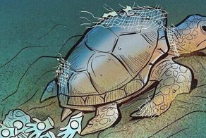 30 честных иллюстраций о недостатках современного общества