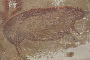 В Индонезии нашли самый древний в мире наскальный рисунок