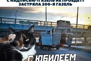 Смешные и познавательные картинки