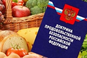 Продовольственная независимость России достигнута