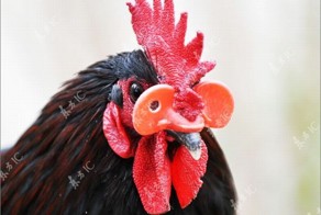 Крутые очки для поддержания дисциплины (20 фото)