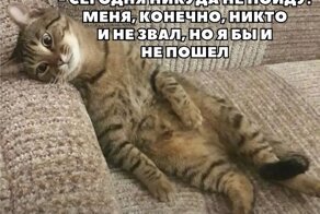 Смешные и познавательные картинки