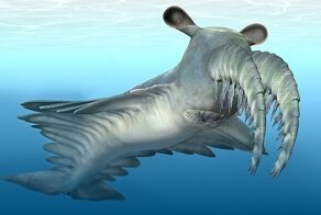 Ученые рассказали о странном морском чудовище, жившем 500 млн лет назад