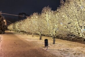 Новогодний Волгоград 2021