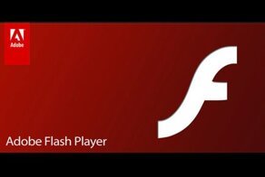 За что убили Flash ?