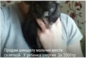 У меня уже вездень элергия на еву, но я болемение