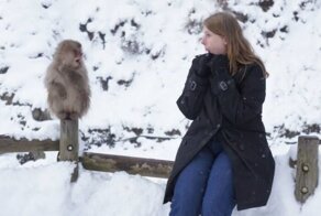 Намешалось