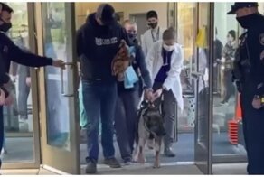 Встреча четвероногого героя