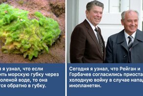 Сегодня я узнал: 30 интересных фактов, о которых не расскажут в школе