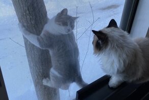 А из нашего окна...