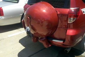 Бегемото-мобиль (4 фото)