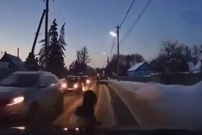 В Брянске выбежавший на дорогу ребенок попал под машину
