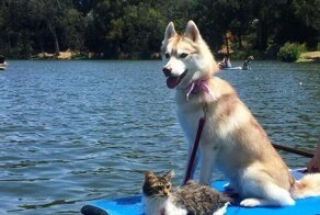 Пост о дружбе