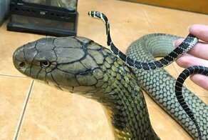 15 замечательных фотографий, которые стоят того, чтобы на них взглянули