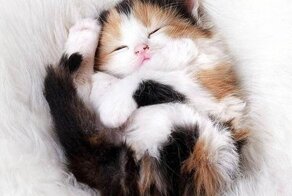 С добрым утром