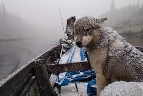 "Учитель успеха" в тайге. Часть 7. И все идет... ни х...ра не по плану! Стресс д/фаната планирования