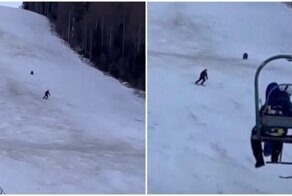 Медведь пустился в погоню за лыжником в Румынии