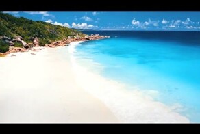 Гармония в природе